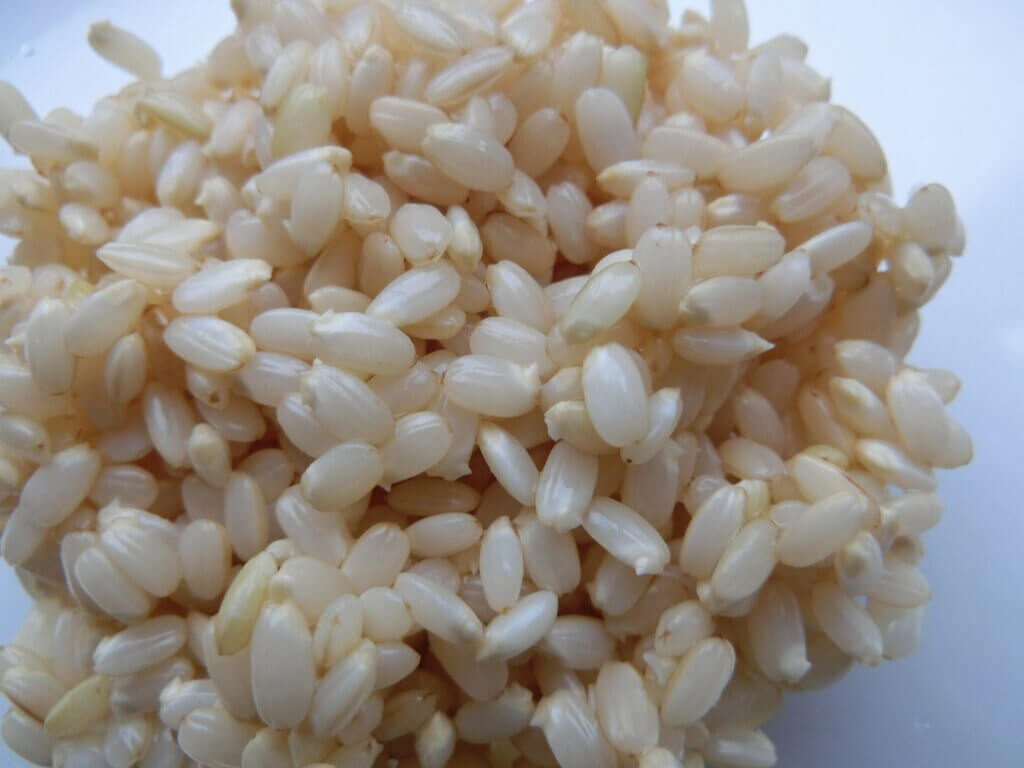 発芽玄米のアップ画像